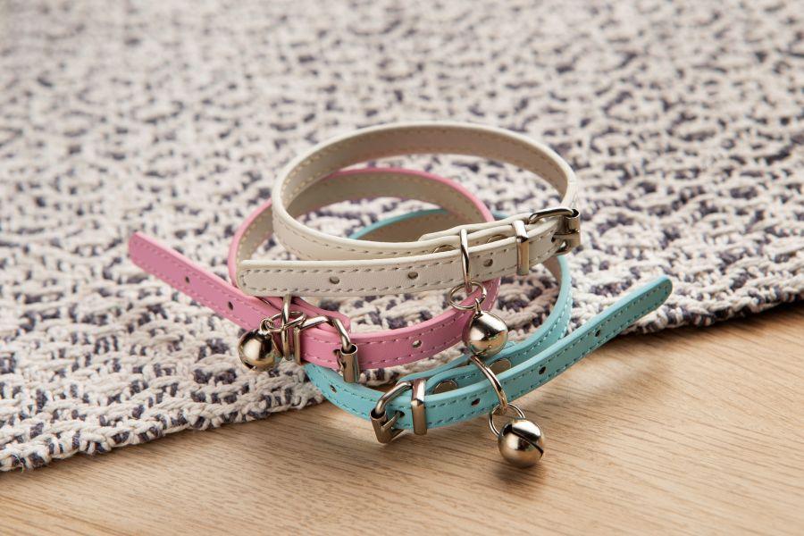 Shine Every Day - Collars & Harnesses - Pet's Dream