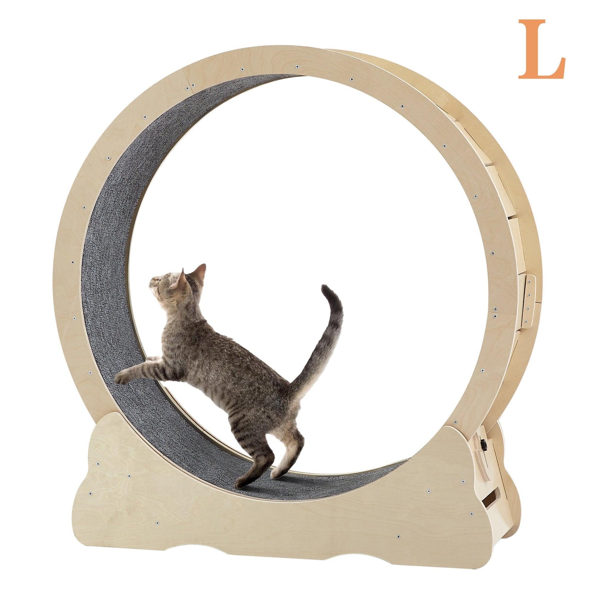 Cat Exercise Wheels - Indoor Cat Treadmill - Pet's Dream