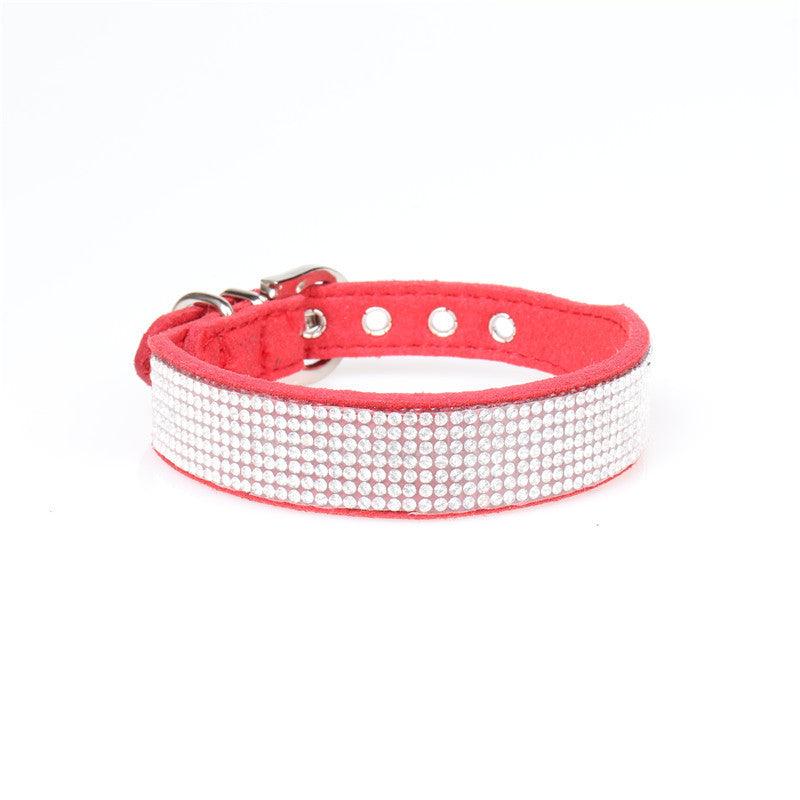 Collar with sparkling rhinestones for Dogs - Pet's Dream