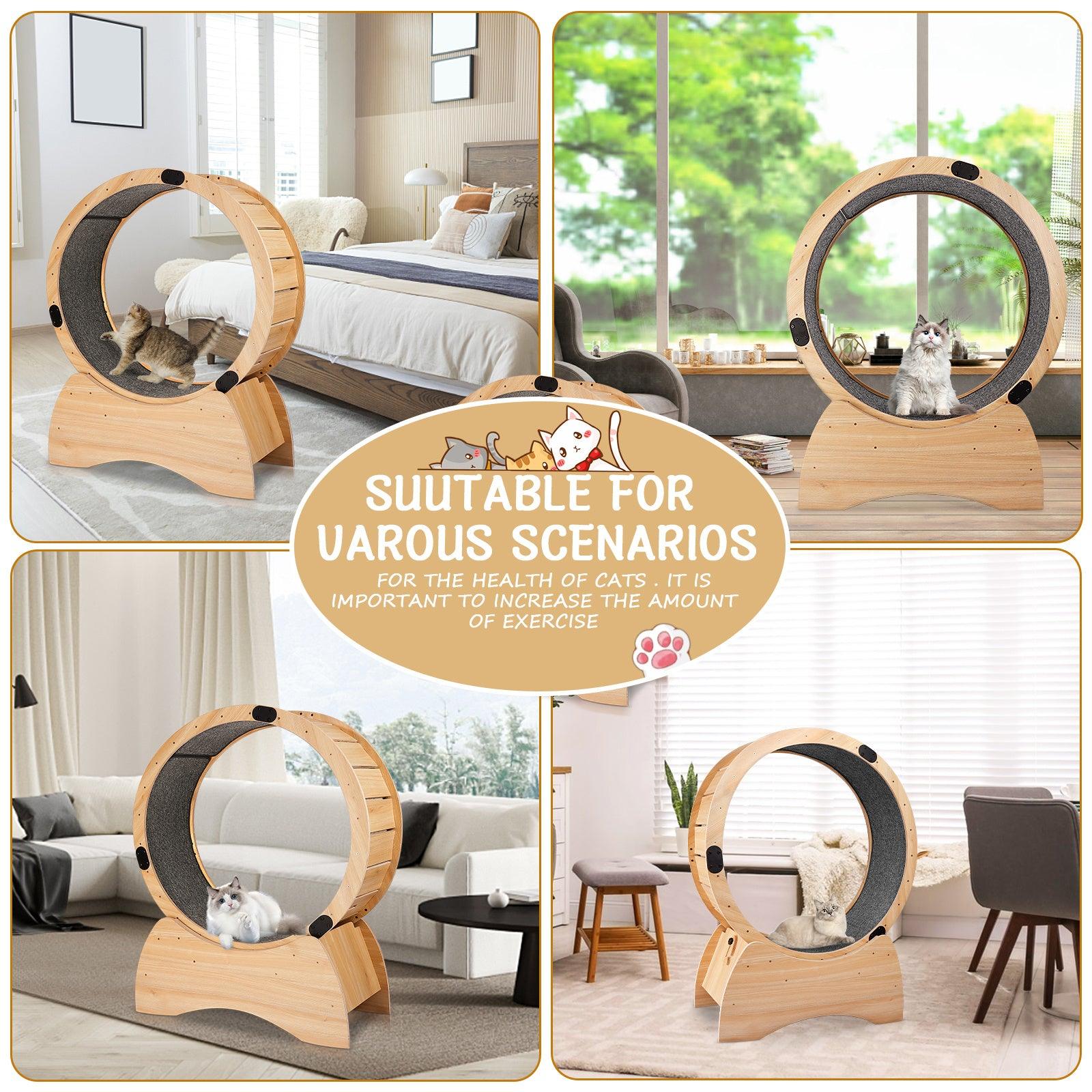 Cat Exercise Wheel - Pet's Dream