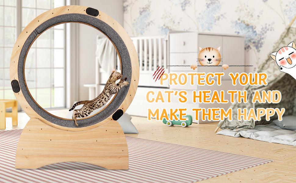 Cat Exercise Wheel - Pet's Dream