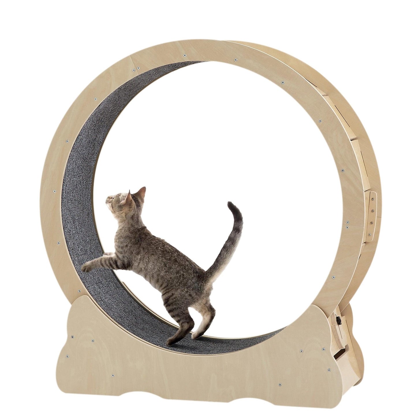 Cat Exercise Wheels - Indoor Cat Treadmill - Pet's Dream