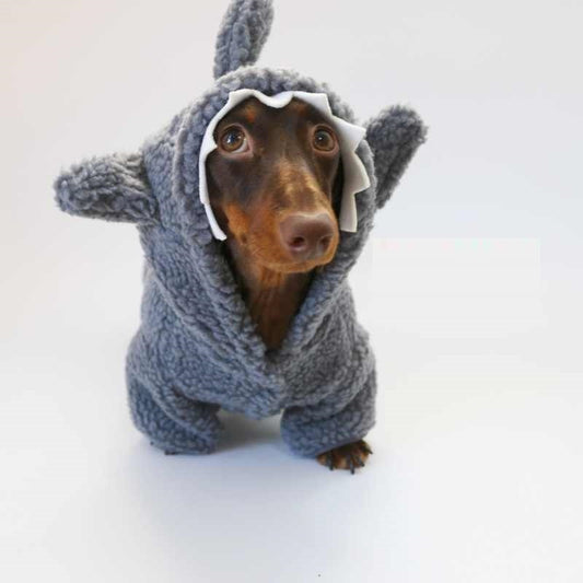 Fleece-lined Warm And Cute Shark Clothes for Dogs and Cats