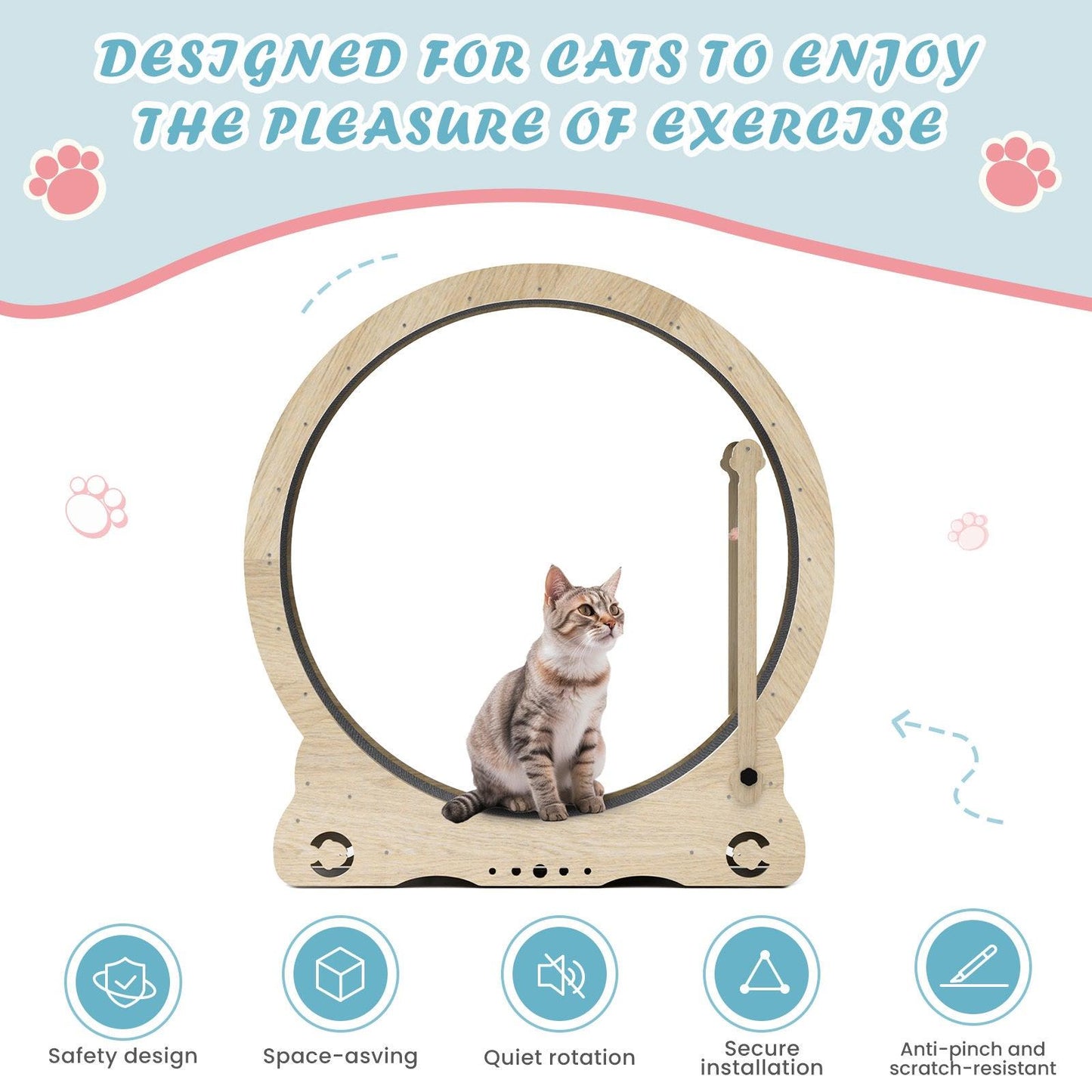 Cat Exercise Wheels - Indoor Cat Treadmill - Pet's Dream