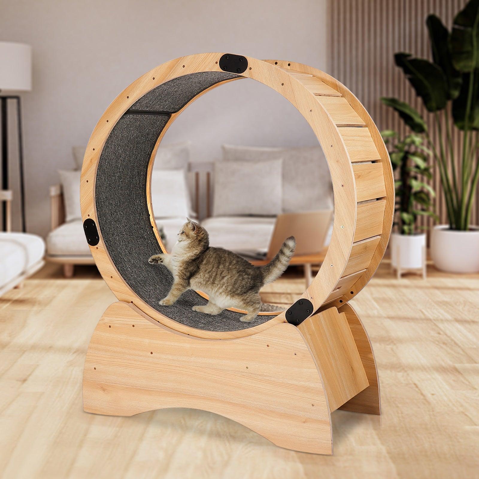 Cat Exercise Wheel - Pet's Dream