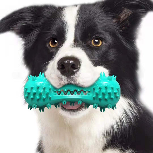 Cleaning Chew Toys For Dogs - Pet's Dream