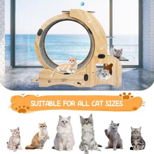 Running Wheel With Silent Wheel for Cats or small Dogs - Pet's Dream