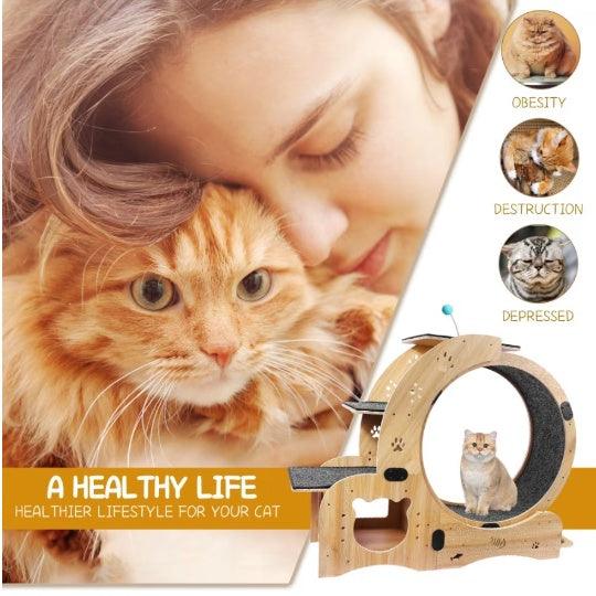 Running Wheel With Silent Wheel for Cats or small Dogs - Pet's Dream