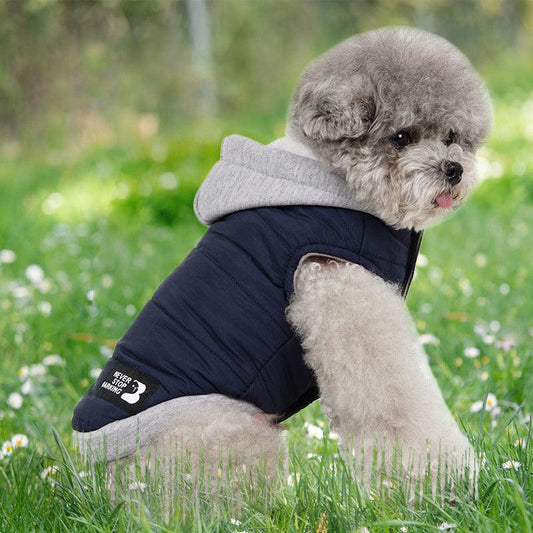 Windproof Cotton-padded Jacket for Dogs, Assorted Colors, Fleece - Pet's Dream