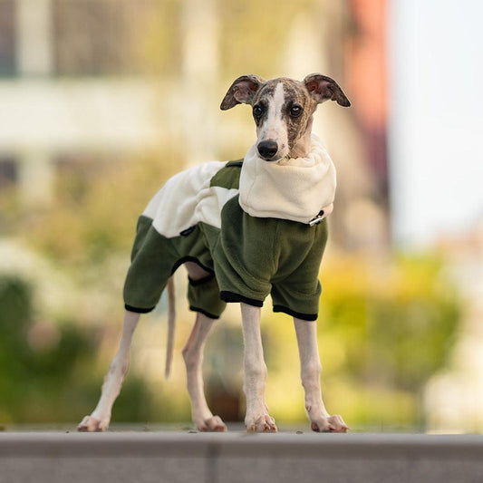 Warm Windproof Four-leg Clothes with Detachable Collar for Dogs - Pet's Dream