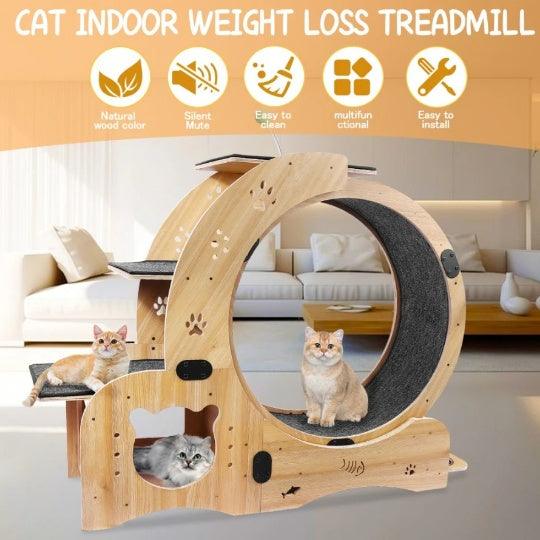 Running Wheel With Silent Wheel for Cats or small Dogs - Pet's Dream