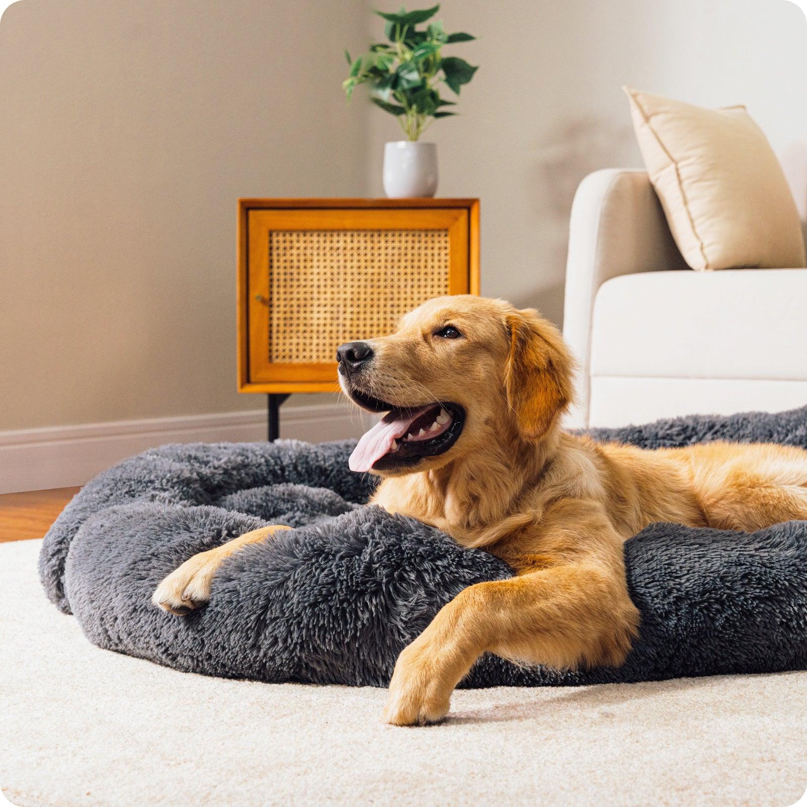 Fluffy, Comfy Bed for Dogs - Pet's Dream