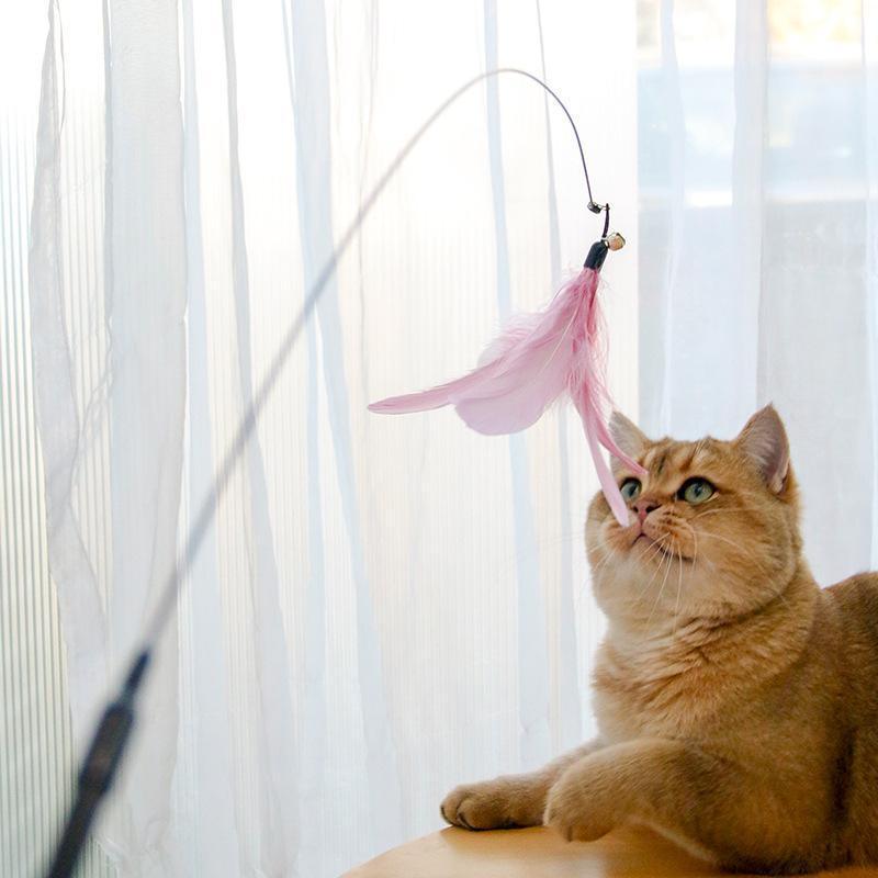 Retractable Laser Stick & Teaser Toy for Cats - Pet's Dream