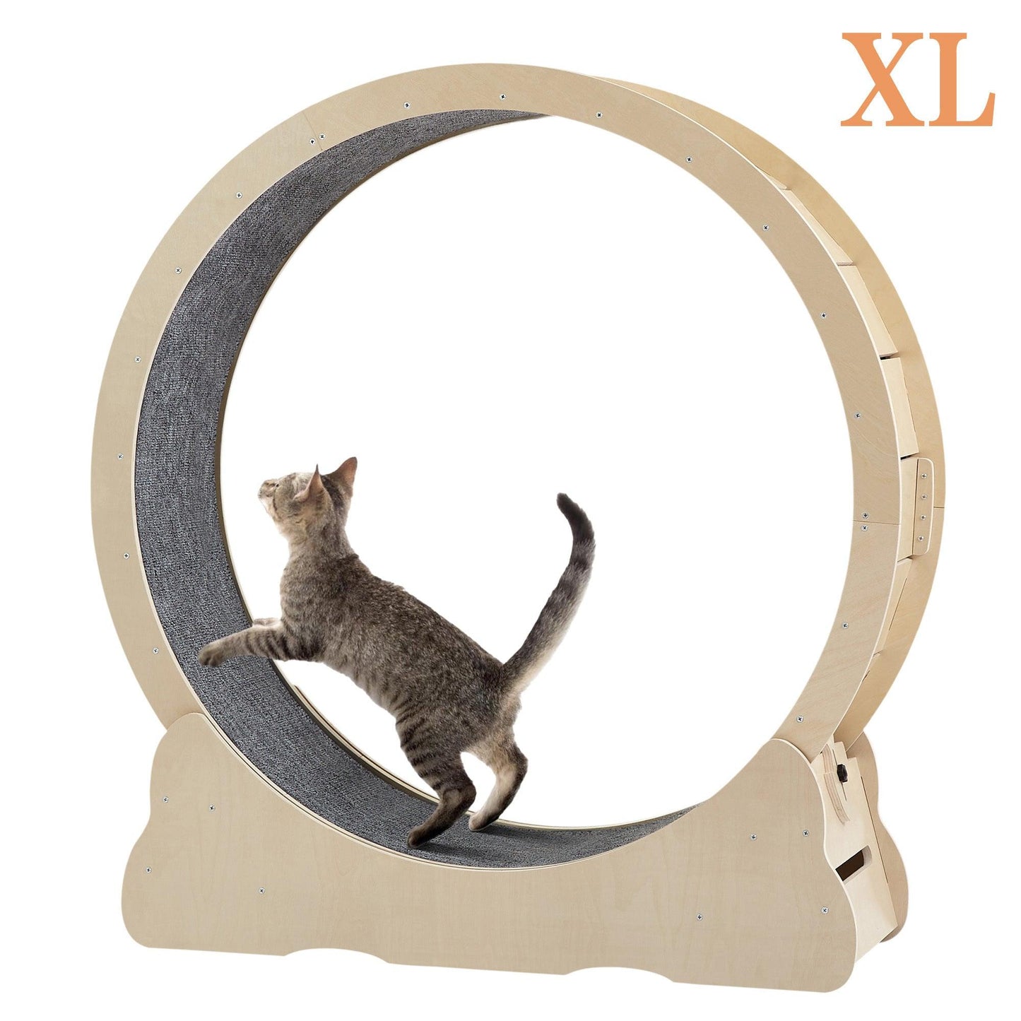 Cat Exercise Wheels - Indoor Cat Treadmill - Pet's Dream