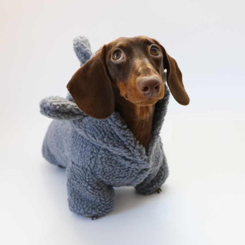 Fleece-lined Warm And Cute Shark Clothes for Dogs and Cats