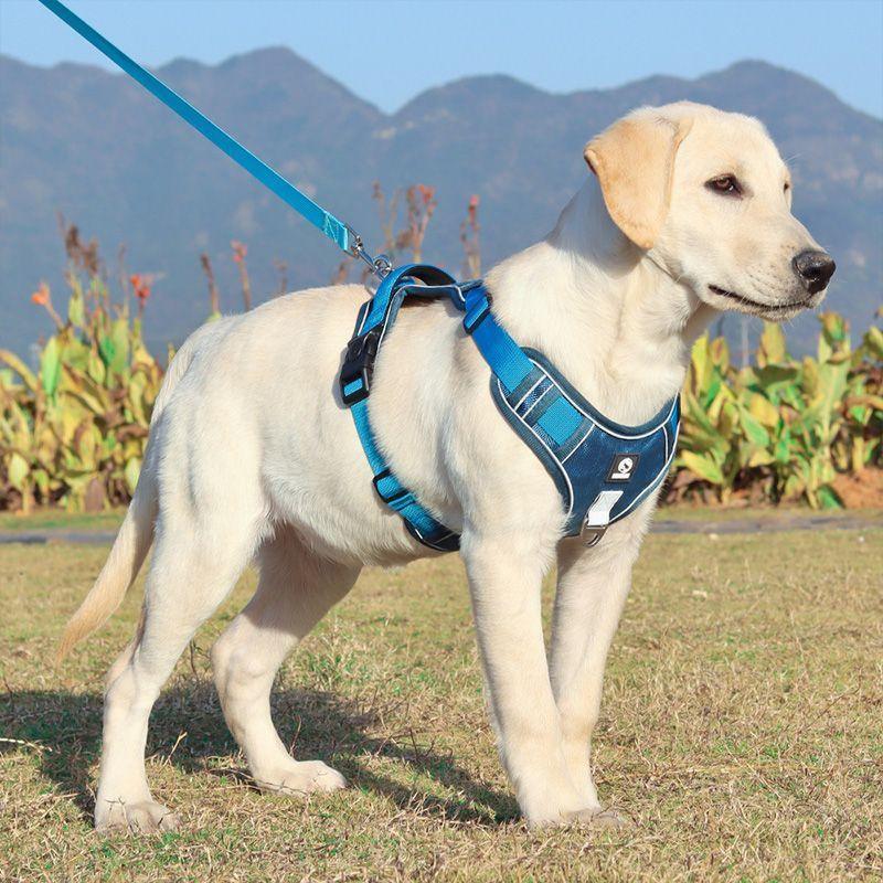 Adorable Chest Strap Vest, Harness for Medium, Large Dog - Pet's Dream