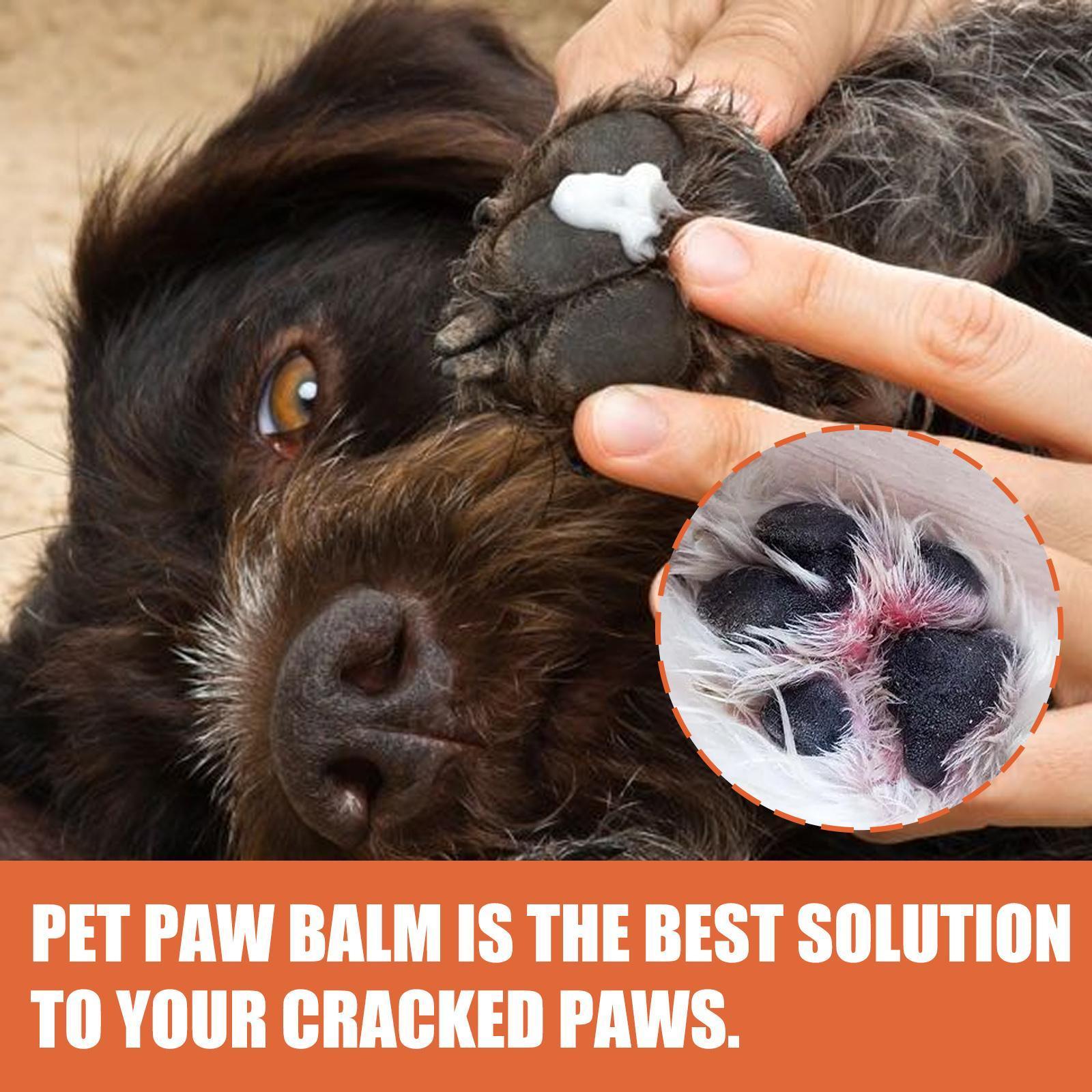 Paw Rescue, Moisturizing Paw Care Cream For Cats And Dogs - Pet's Dream