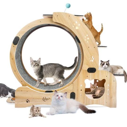 Running Wheel With Silent Wheel for Cats or small Dogs - Pet's Dream